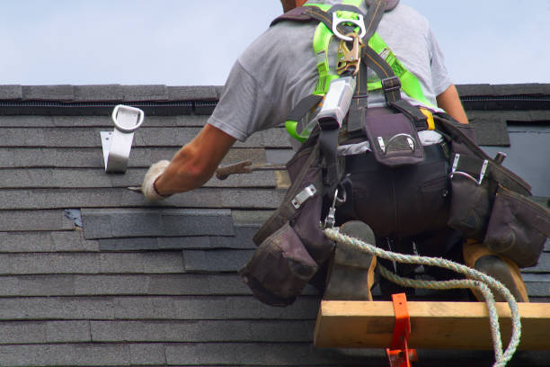 Best Roof Repair Services  in St Johns, MI
