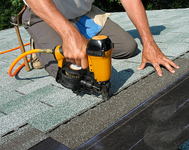 Best Roof Leak Repair  in St Johns, MI