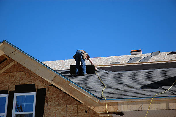 Best Roof Gutter Cleaning  in St Johns, MI