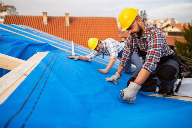 Best Emergency Roof Repair  in St Johns, MI