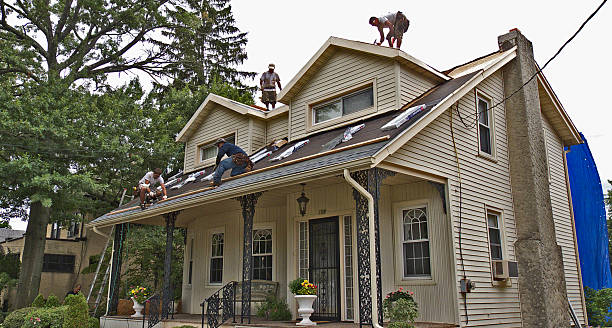 Best Roofing Contractor Near Me  in St Johns, MI