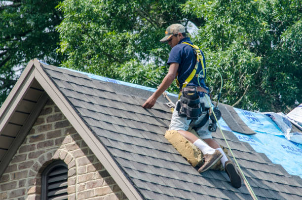 Best Storm Damage Roof Repair  in St Johns, MI